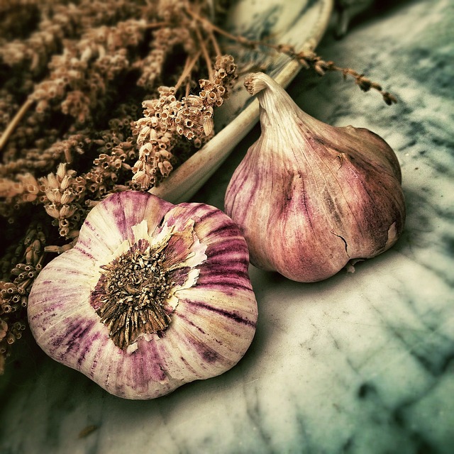 garlic for skin conditions