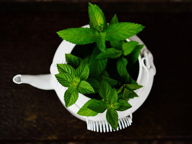 Use Peppermint Tea for Digestion, Headaches, Stress, and More