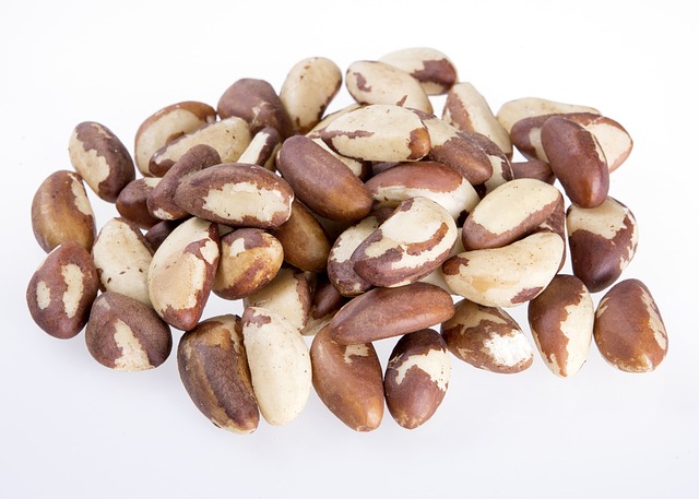 Brazil Nuts: A Nutritional Powerhouse with Remarkable Health Benefits