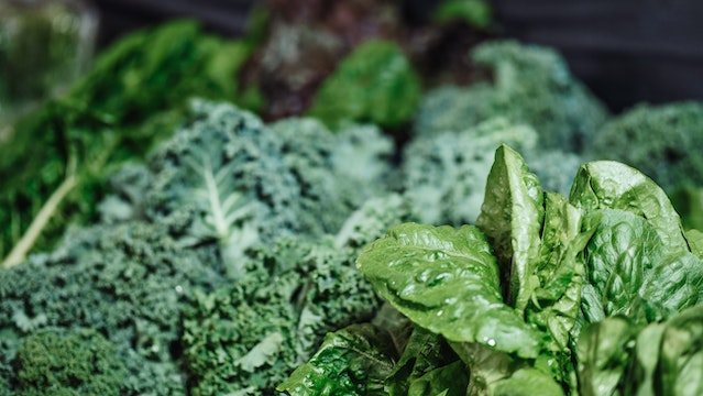 Why You Need More Leafy Greens – Health Benefits of Spinach, Kale, and Swiss Chard