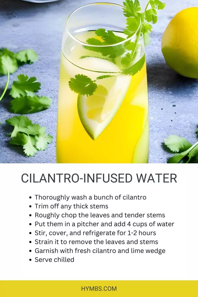Cilantro-Infused-Water