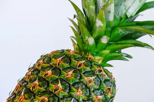 Pineapples are a Tropical Treasure for Health and Digestion