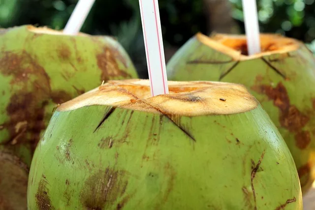 Coconut Water vs. Sports Drinks: Which One is Better for You?