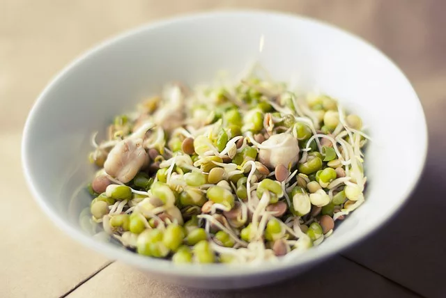 Sprouts: Nutritional Powerhouses and Simple Home Growing Recipe