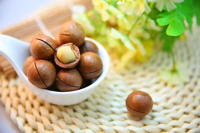 Macadamia Nuts Are A Nutritional Powerhouse and Culinary Delight