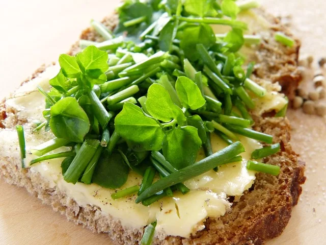 Watercress: A Nutrient-Packed Superfood for Vibrant Health