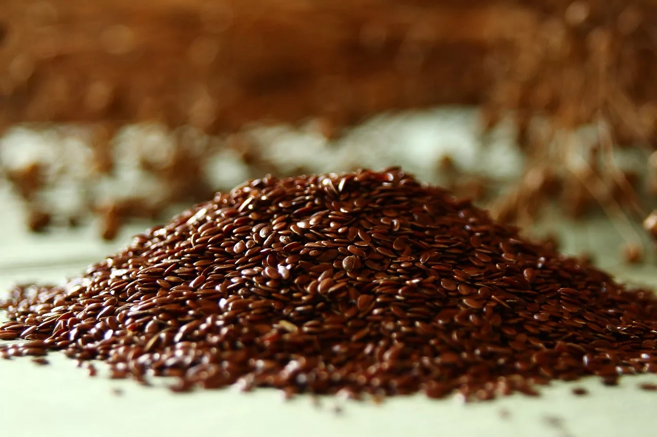 Flaxseeds Pack A Nutritional Punch in A Tiny Package